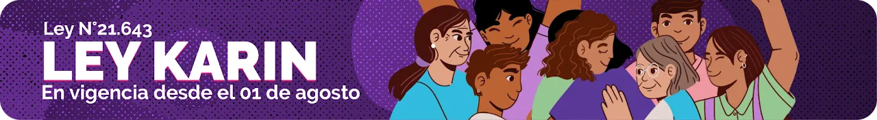 Banner ley karin